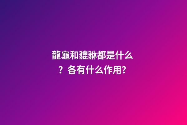 龍龜和貔貅都是什么？各有什么作用？
